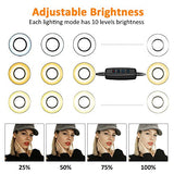 Ring Light with Cell Phone Holder Stand for Live Stream