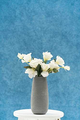 Collapsible Backdrop